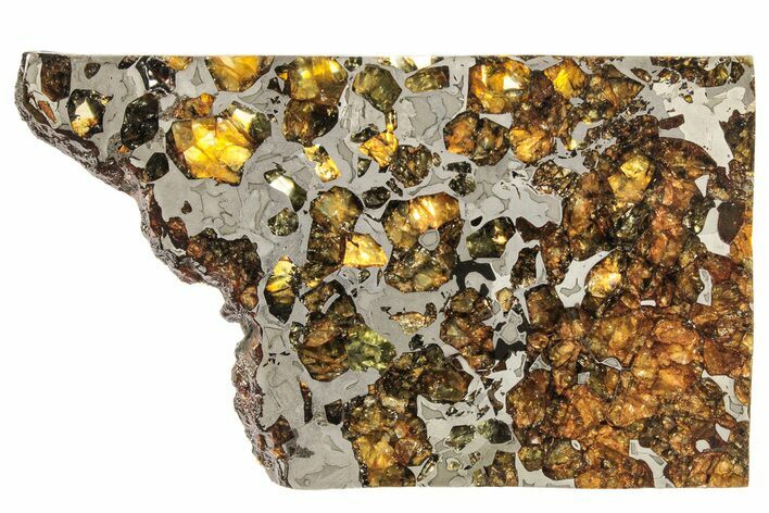 Seymchan Pallasite Meteorite Slice ( g) - Russia #305587